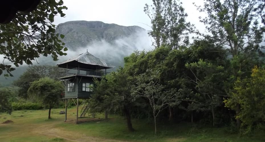 Forest Hills Farm & Guest House (30 Kms from Ooty), Masinagudi 2